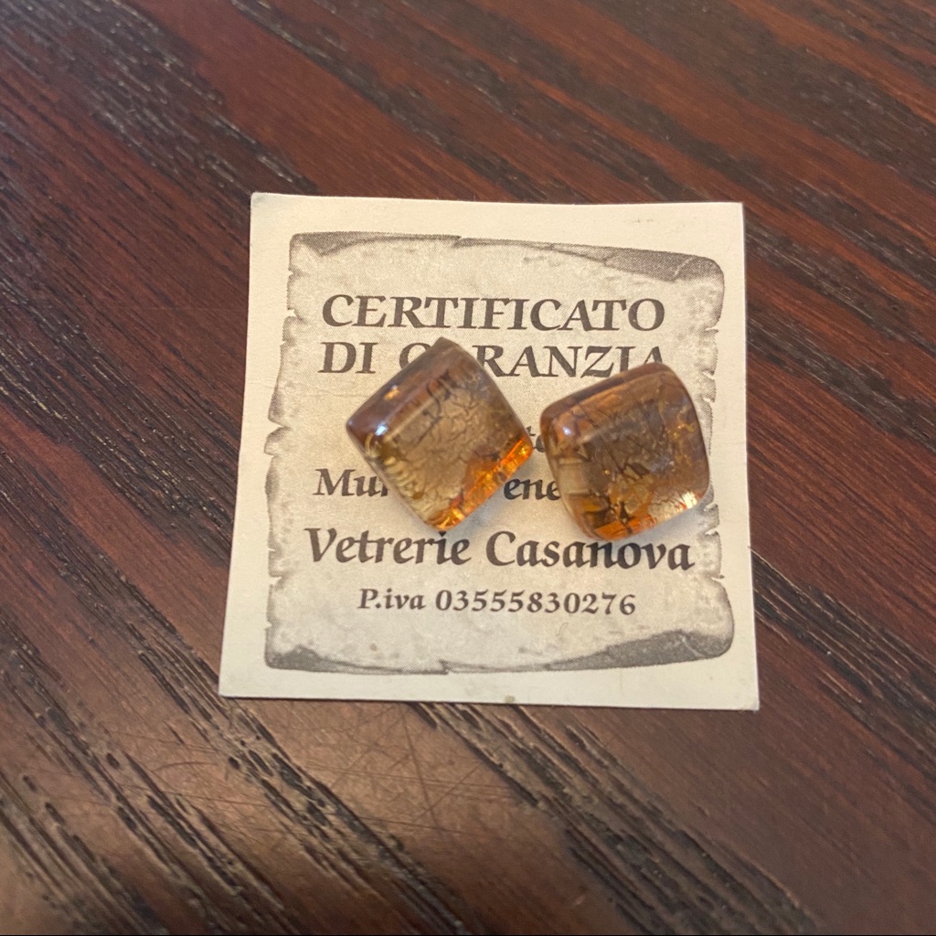 Vetrerie Casanova Murano Glass Earrings